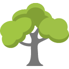 Lakeville Tree Removal