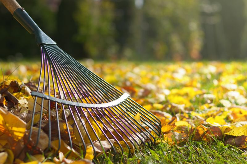 Raking Leaves on a Lawn