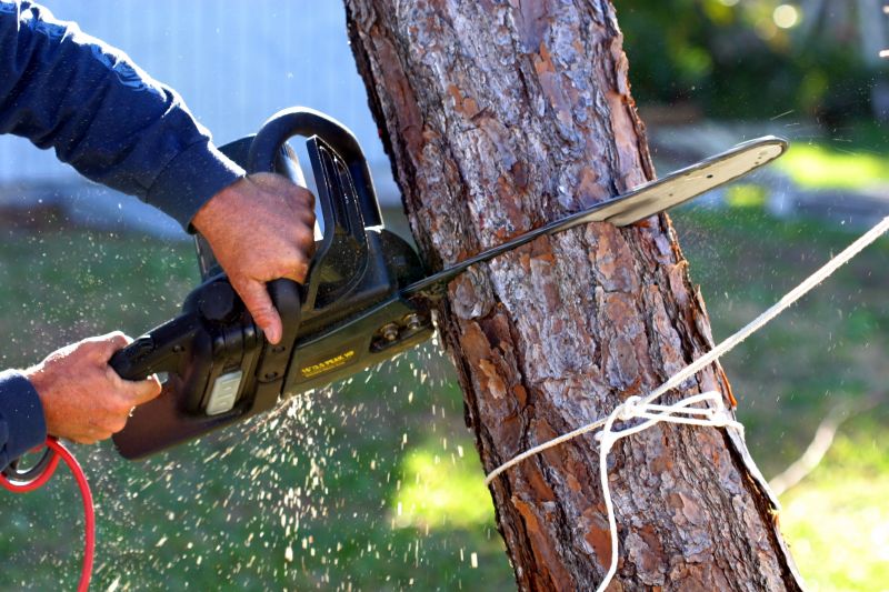 Tree Removal Service detail